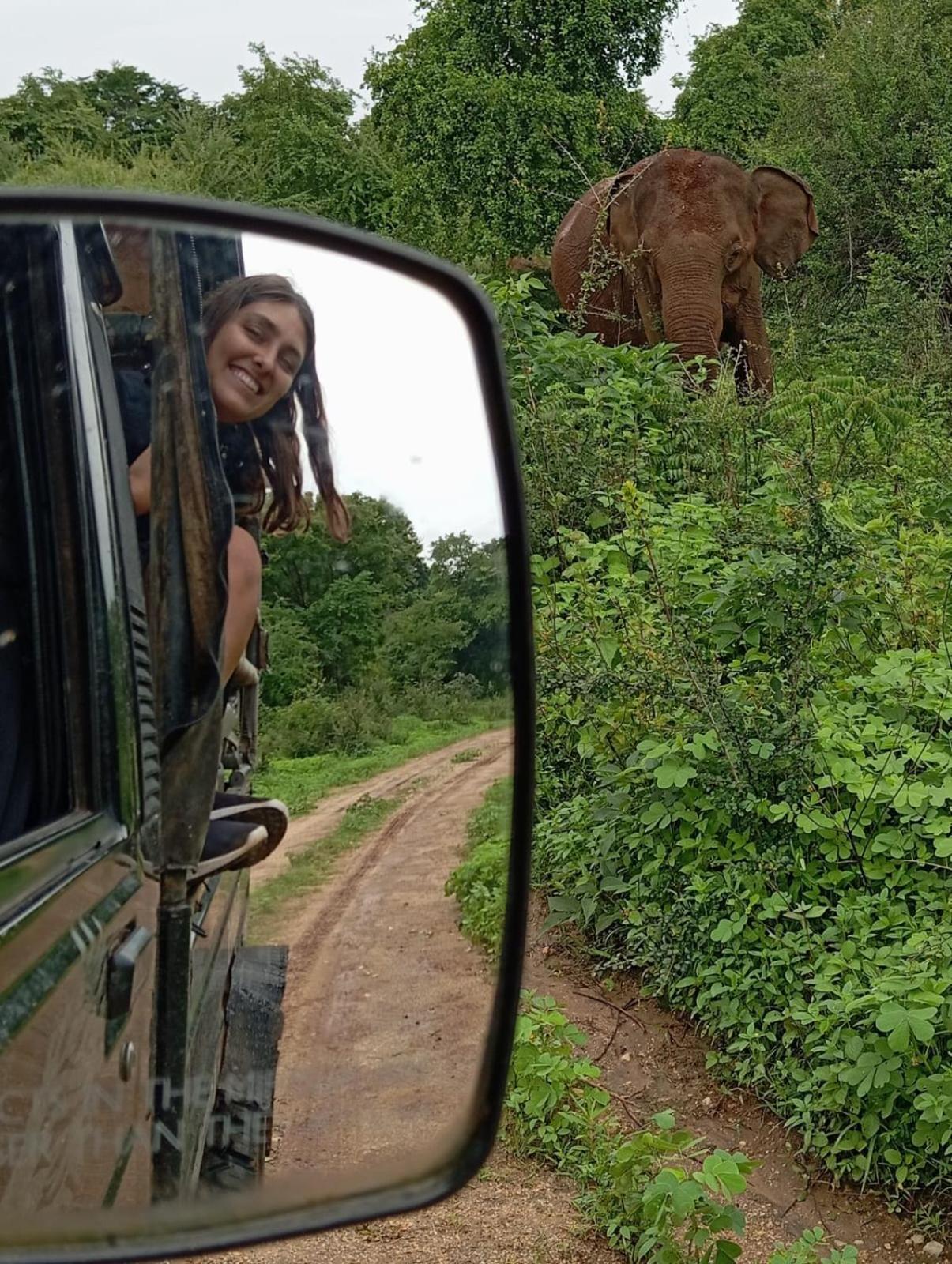 White Rose Safari Home Stay Udawalawe Εξωτερικό φωτογραφία
