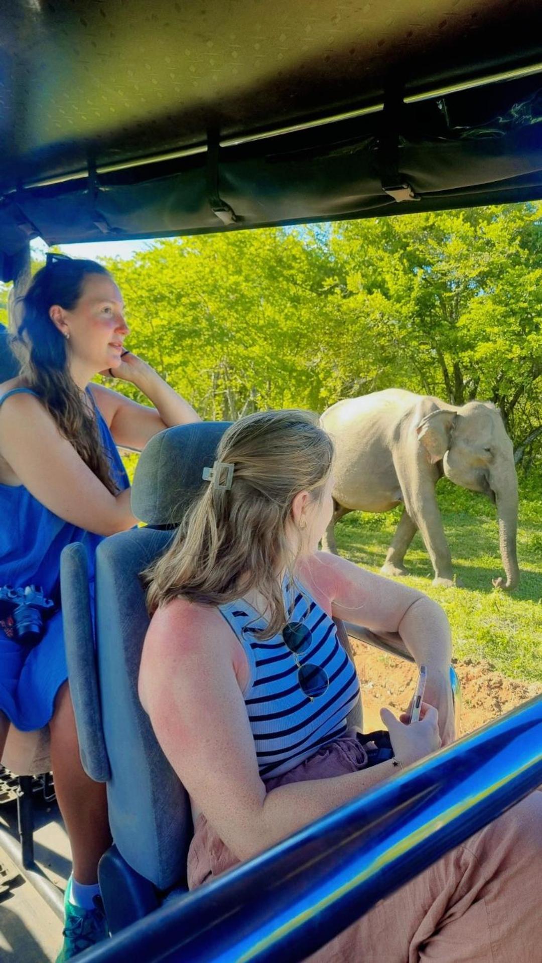 White Rose Safari Home Stay Udawalawe Εξωτερικό φωτογραφία